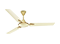 Ivory Gold